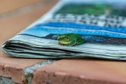 Festival de Literatura de la Natura «Liternatura»