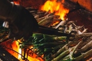 Explorando los Sabores del Mediterráneo en Belbo Terrenal