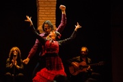 Espectáculo de flamenco en un tablao