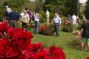 Visita las festivales de flores y jardines